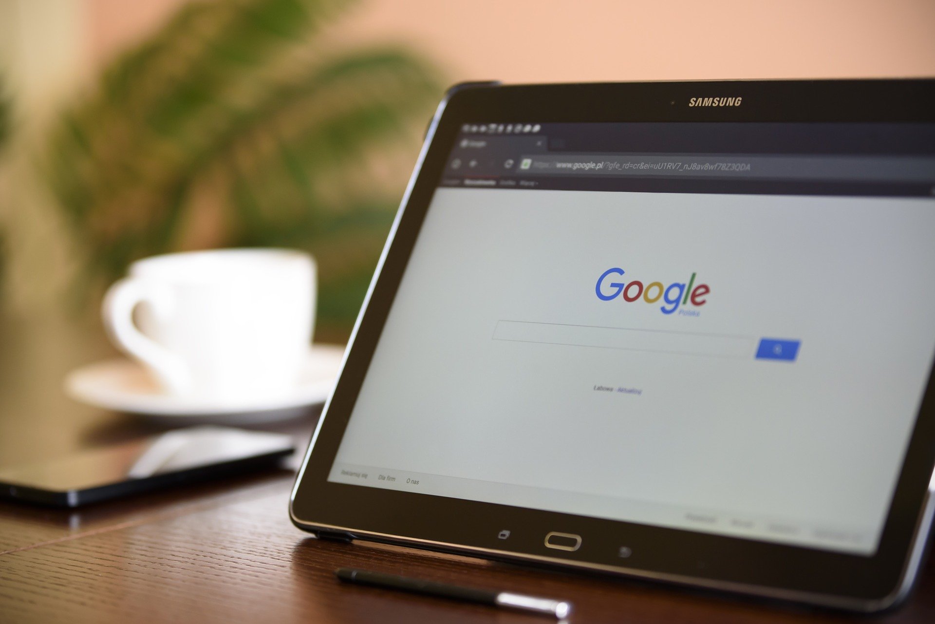 new gmb update google